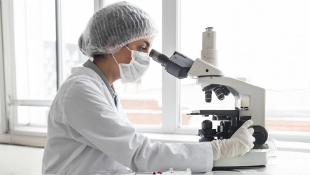 Manual Subjectivity in Image Analysis