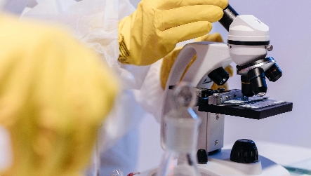 Reproducibility & Accuracy in Particle Size Measurement