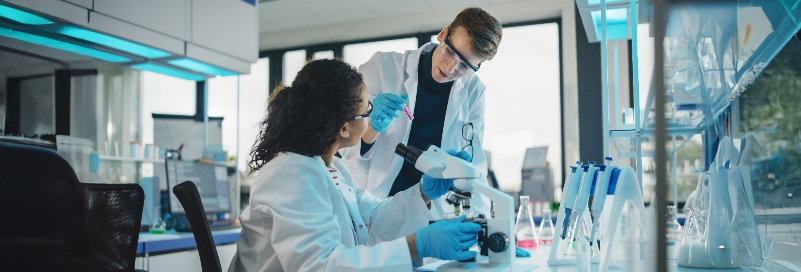Academia