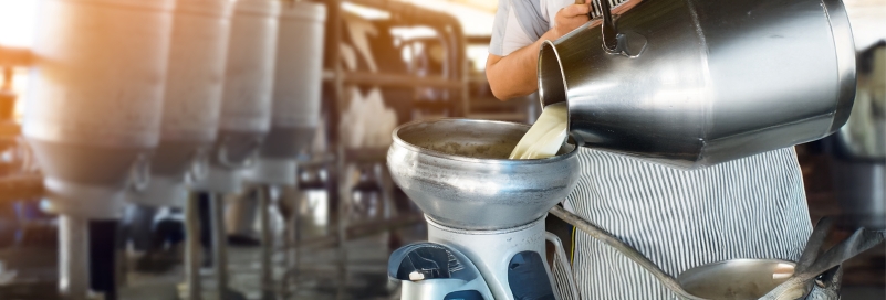 Dairy