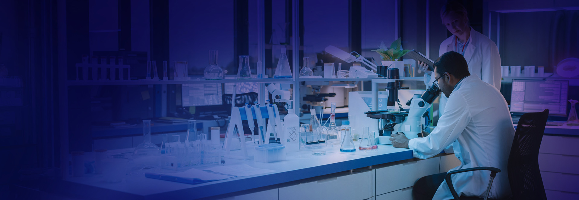 Insights Banner