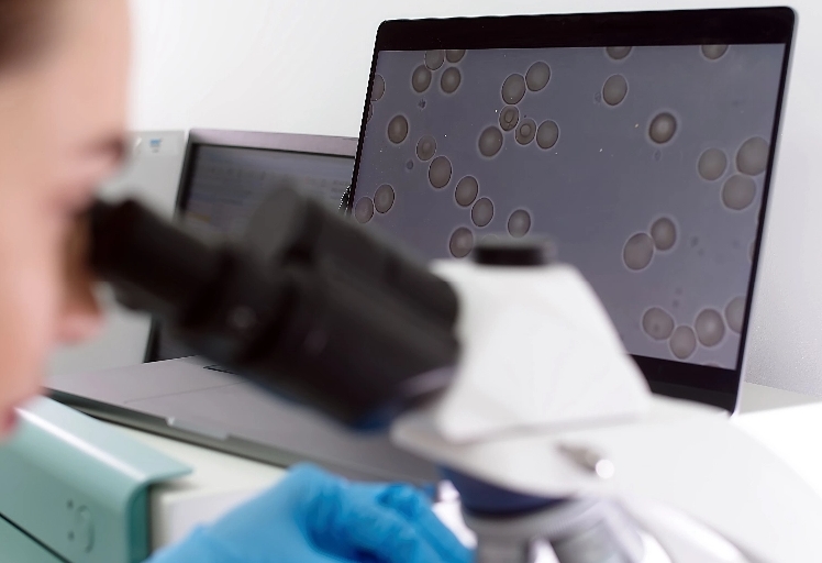 Particle characterization