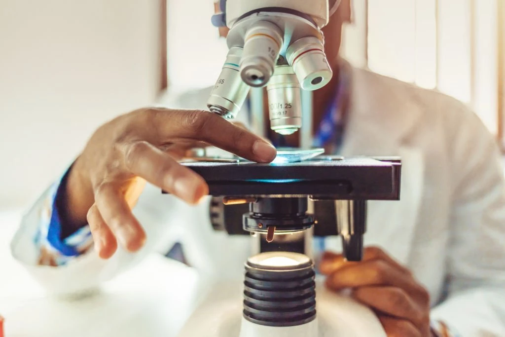 ImageProVision Significantly Accelerates Drug Development Process for A Globally Renowned Pharmaceutical Company