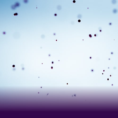 Category Banner
