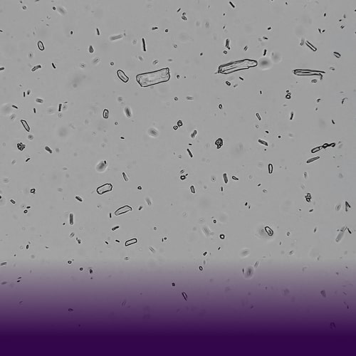 Category Banner