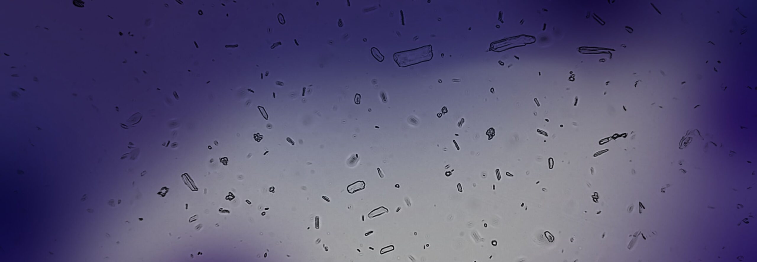 Category Banner