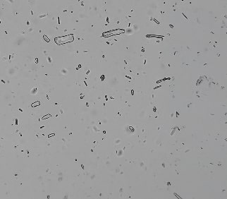 Deformulation Analysis