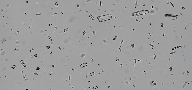 Deformulation Analysis