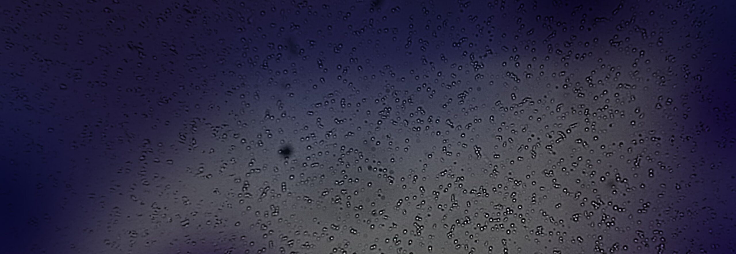 Category Banner