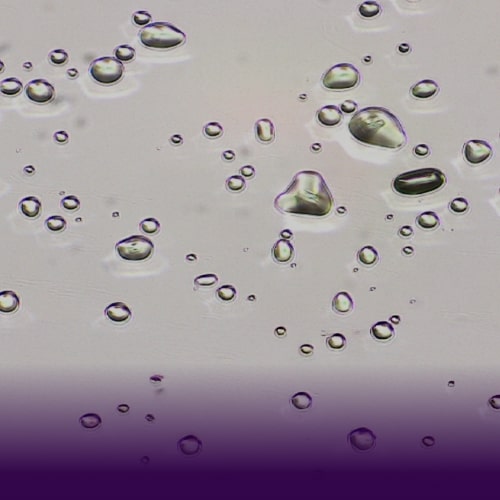 Category Banner