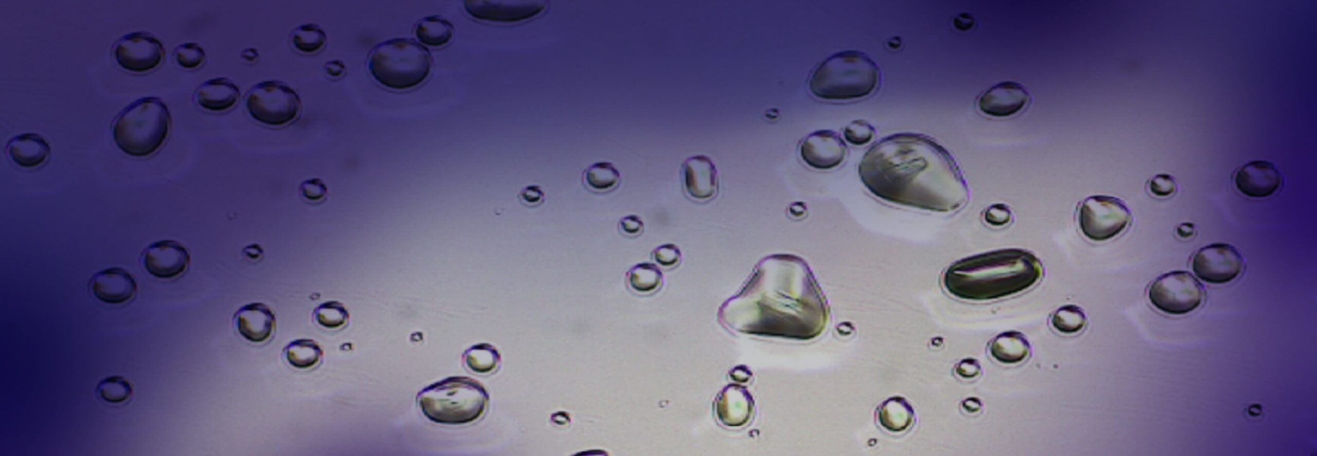 Category Banner