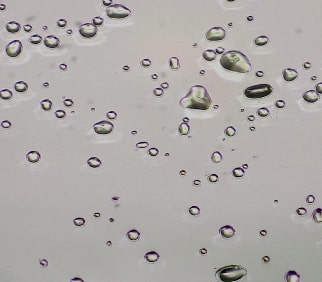 Hot Stage Microscopy