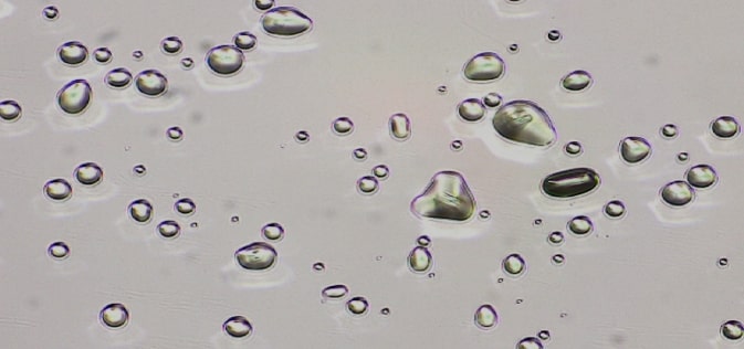Hot Stage Microscopy