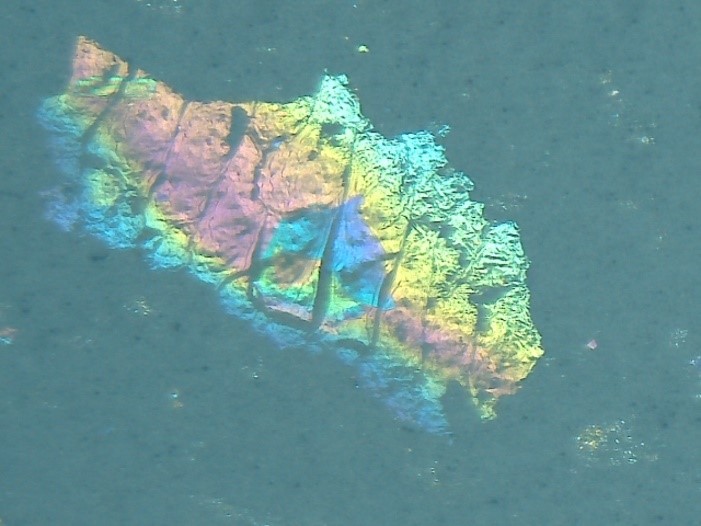 Comprehensive study of glass delamination and visible particulate in injections <790>