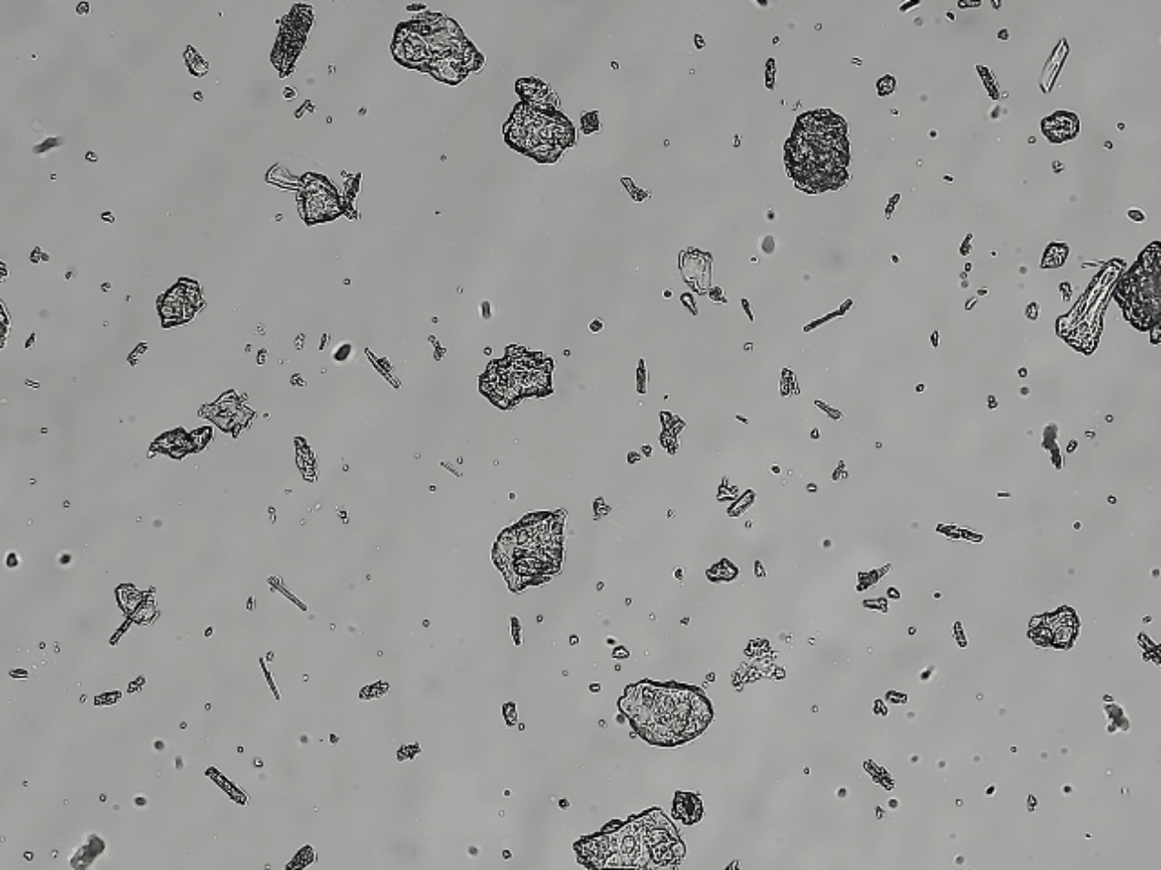 Comparative Technical Evaluation of Microscopy-Based and Laser Diffraction Particle Size Analysis Systems