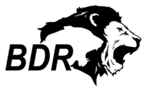 BDR Pharmaceuticals Logo - ImageProVision Client