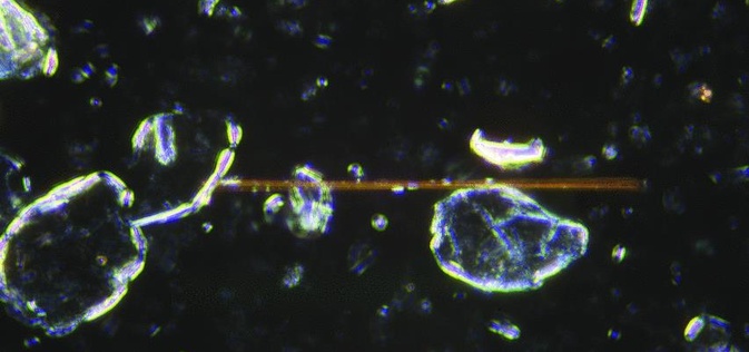 Asbestos Detection in Pharmaceutical Talc | PLM Testing as per USP <901> and USP <1901>